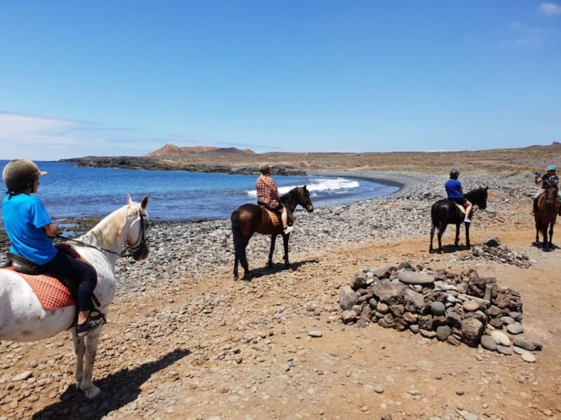 Tenerife South: Private Horseback Riding to the Coast - Tour Features