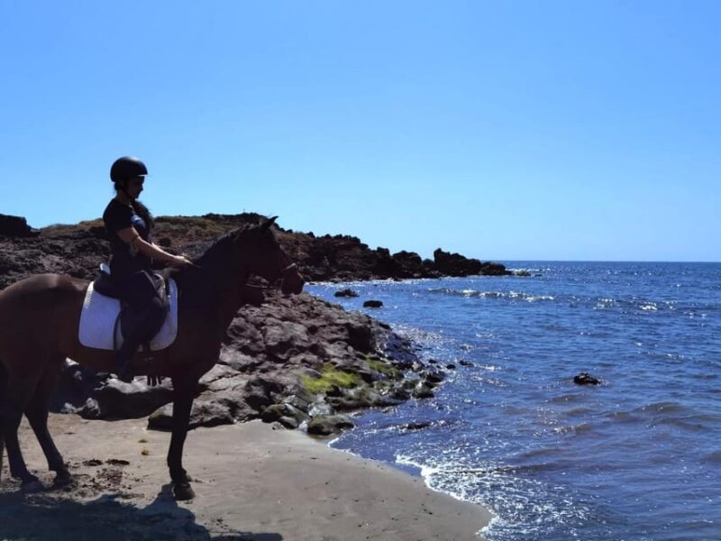 Tenerife South: Private Horseback Riding to the Coast - Participant Restrictions