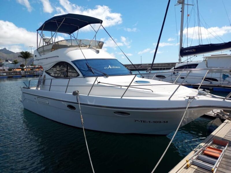Tenerife South: Safari With Luxury Boat, Animal Encounters - Pricing and Booking