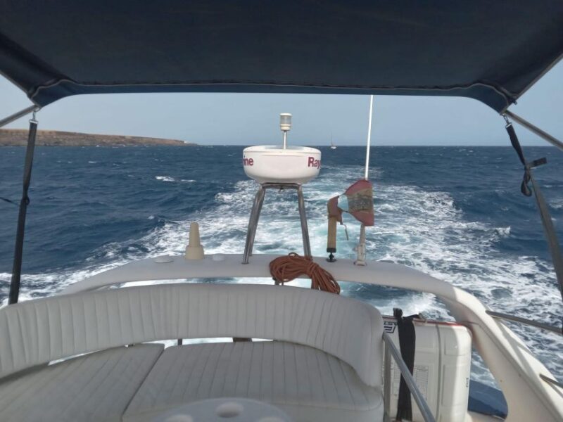 Tenerife South: Safari With Luxury Boat, Animal Encounters - Important Information