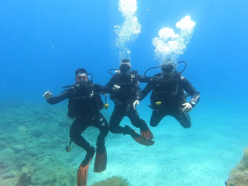 Tenerife South: Scuba Diving for Beginners in Adeje - Key Points
