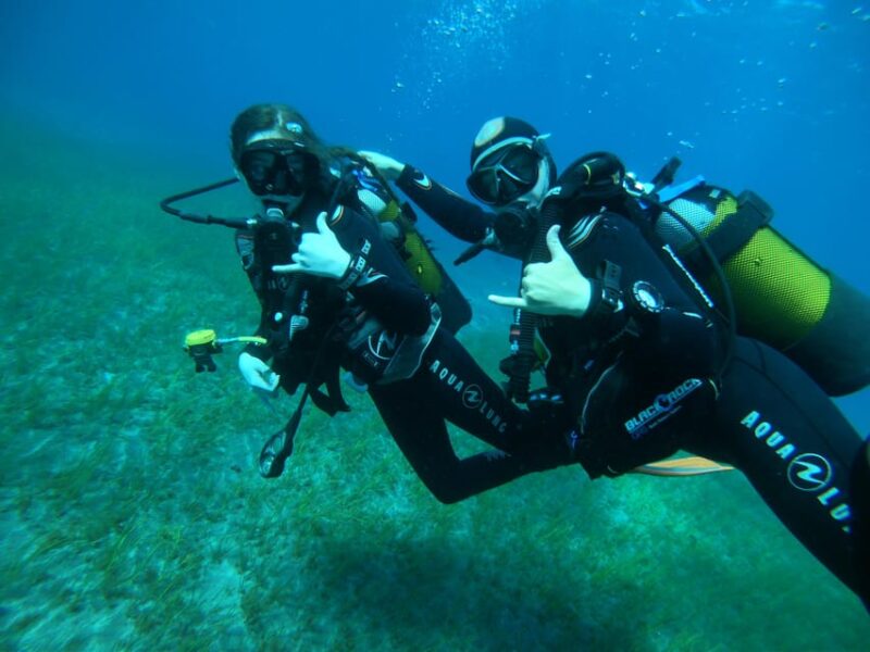 Tenerife South: Scuba Diving for Beginners in Adeje - Exploring the Dive Site