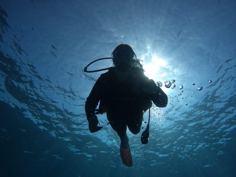 Tenerife South: Scuba Diving for Beginners in Adeje - Instructor Expertise and Safety Protocols