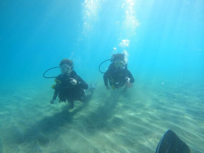 Tenerife South: Scuba Diving for Beginners in Adeje - Booking and Participation Details
