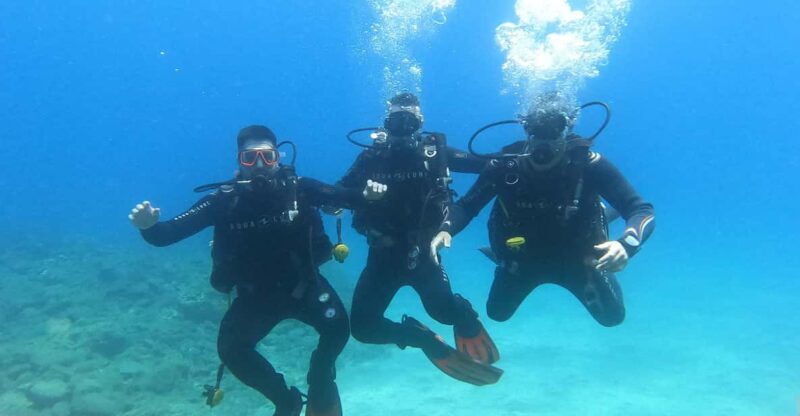 Tenerife South: Scuba Diving for Beginners in Adeje - Course Structure