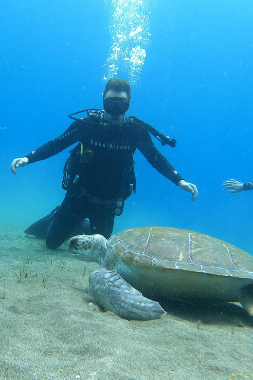 Tenerife South: Scuba Diving for Beginners in Adeje - Safety and Instructors