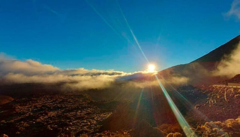 Tenerife: Sunset Night Tour and Stargazing at Teide + Dinner - Who Should Consider This Tour?