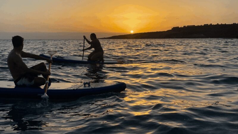 Tenerife: Sunset Stand-Up Paddleboarding Tour - Key Points