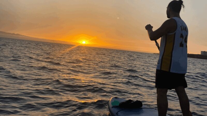 Tenerife: Sunset Stand-Up Paddleboarding Tour - Who Should Book This Tour