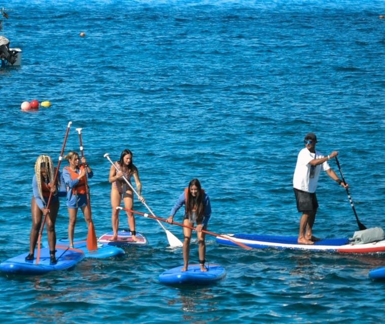TENERIFE SUR: Paddleboarding tour and SNORKEL - Key Points