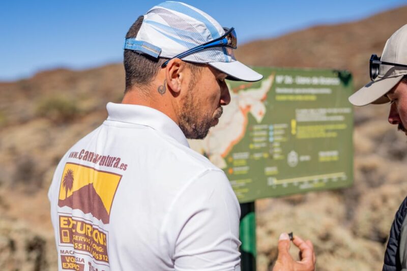 Tenerife: Teide Hiking - Hiking Experience