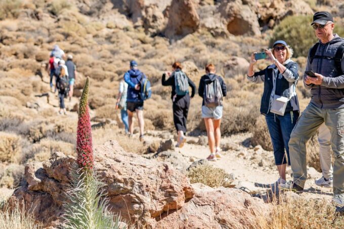 Tenerife: Teide Hiking - What to Expect on the Hike