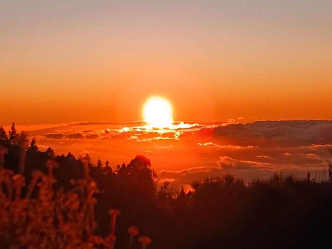 Tenerife: Teide, Masca, Garachico, and Sunset Exclusive Tour - Witness Teide Sunset