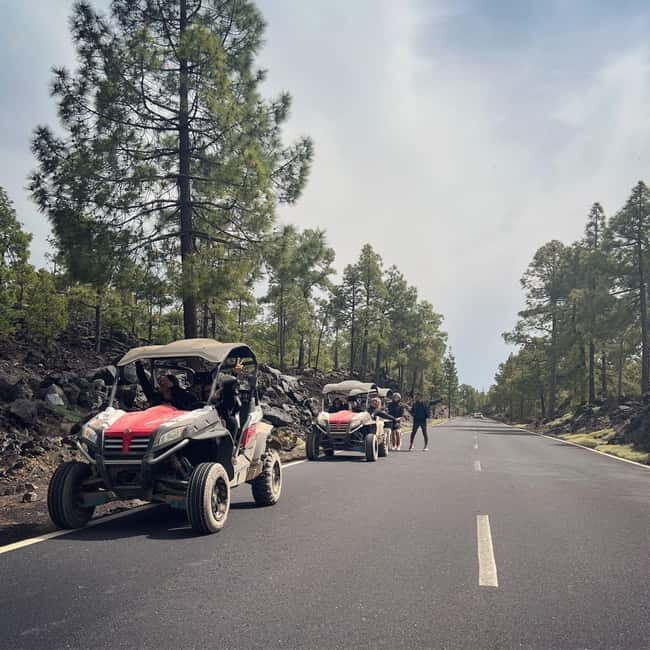 Tenerife: Teide National Park and Volcano Buggy Tour - Key Points