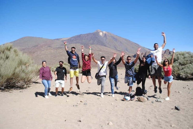 Tenerife: Teide National Park and Volcano Buggy Tour - Who Should Consider This Tour?