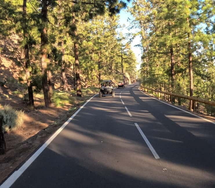 Tenerife: Teide National Park and Volcano Buggy Tour - FAQ