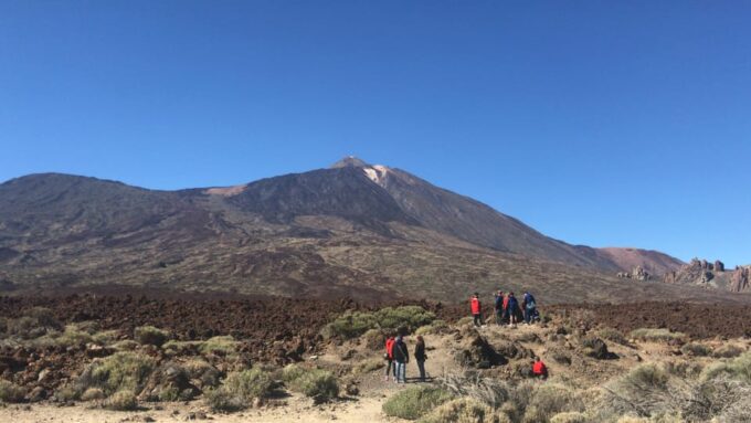 Tenerife: Teide National Park Buggy Tour With Hotel Transfer - Customer Feedback and Experiences