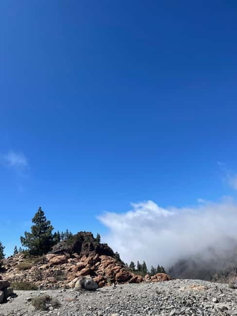Tenerife: Teide National Park Excursion Teide Tours in a VIP 4x4 Jeep - The Sum Up: Who Should Consider This Tour?