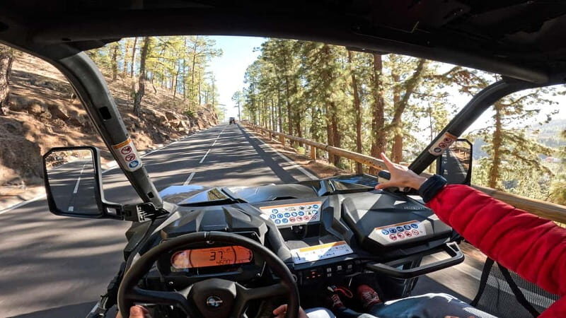 Tenerife: Teide National Park Guided Buggy Tour - An Exciting Way to See Tenerife’s Volcanoes