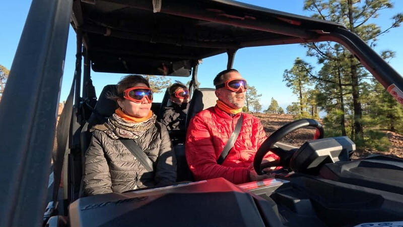 Tenerife: Teide National Park Guided Buggy Tour - Pricing and Value