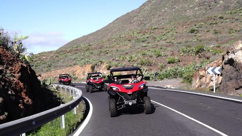 Tenerife: Teide National Park Guided Buggy Tour - Adventure Details