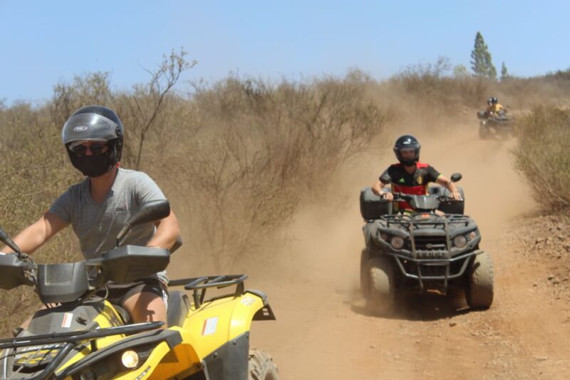 Tenerife: Teide National Park Quad Bike Tour - Exploring the Teide National Park