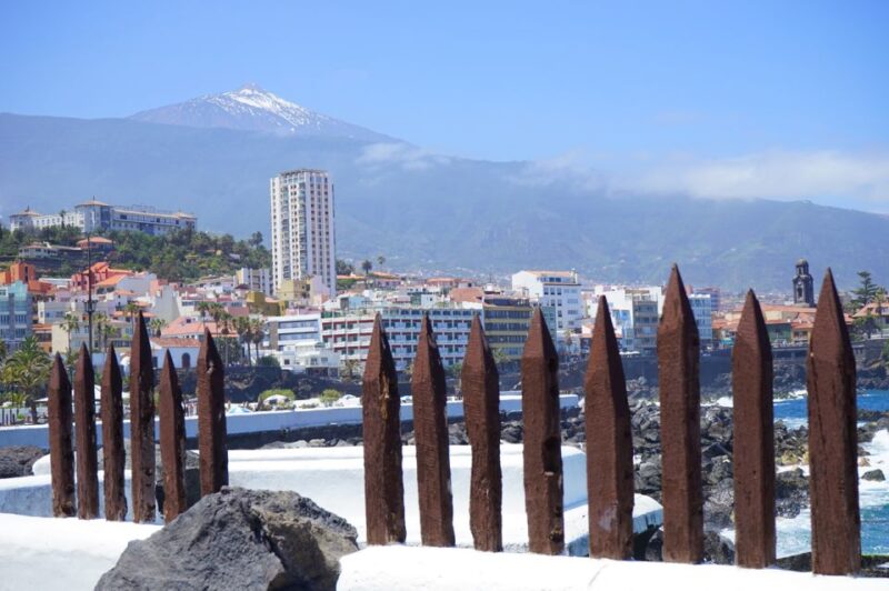 Tenerife: Trip to Puerto De La Cruz - Overview of the Destination