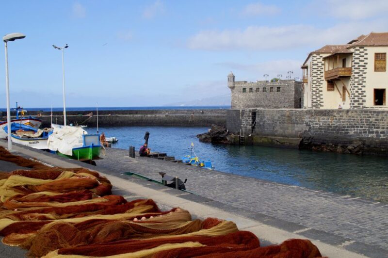 Tenerife: Trip to Puerto De La Cruz - Customer Feedback and Ratings