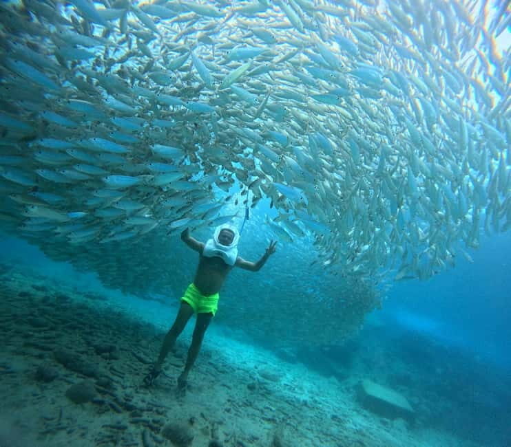 Tenerife: Underwater Walk - Sea Trek Experience - A Practical Overview of the Tenerife Sea Trek  