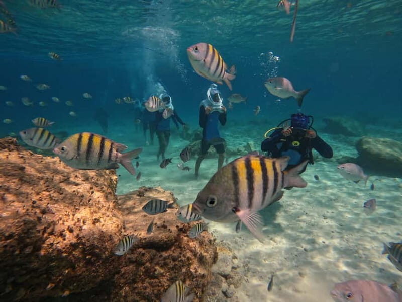 Tenerife: Underwater Walk - Sea Trek Experience - The Sum Up  