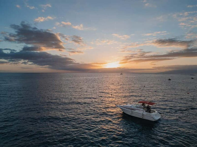 Tenerife: VIP 3 hour Private Luxury Boat Charter Experience - Key Points