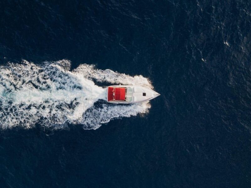 Tenerife: VIP 3 Hour Private Luxury Boat Charter Experience - Marine Life Sightings