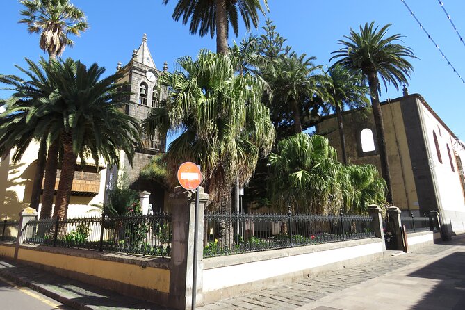 Tenerife VIP Tour - Reviews and Testimonials