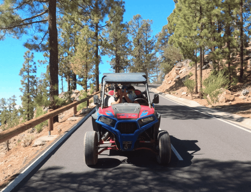 Tenerife: Volcano Teide Buggy Tour With Wine Tasting & Tapas - Wine Tasting and Tapas