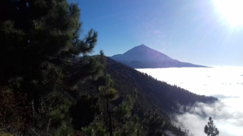 Tenerife: Wellness Experience With Psychology and Mindfulness Practices - Activities and Practices