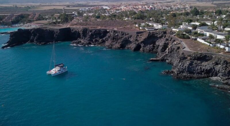 Tenerife: Whale and Dolphin Watching Boat Tour - Itinerary and Experience