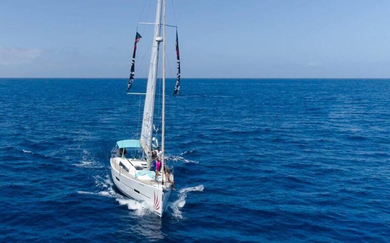 Tenerife Whale Watching and Snorkeling Yacht Trip - Key Points