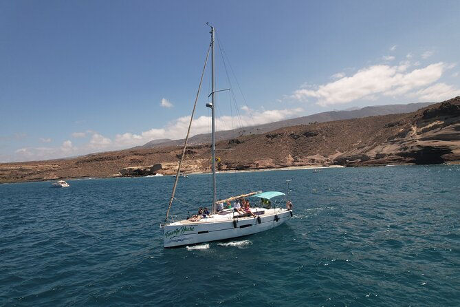 Tenerife Whale Watching and Snorkeling Yacht Trip - Meeting and Pickup
