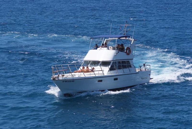 Tenerife: Whale watching tour with swim and lunch on yacht for 22 passengers - Analyzing Value and Practical Details
