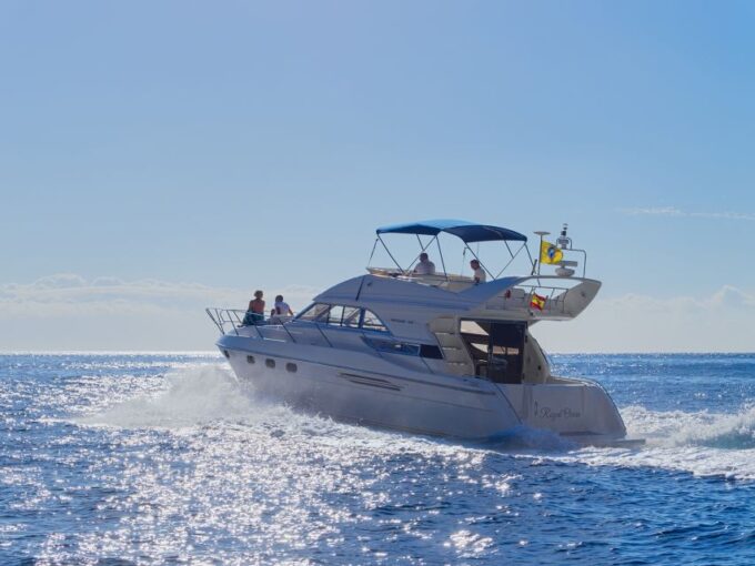 Tenerife: Whales and Snorkeling Tour on a Luxury Yacht - Booking and Cancellation Policy