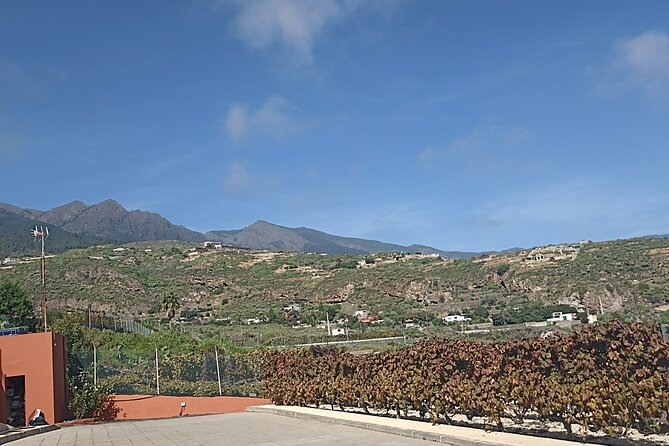 Tenerife Wine Tasting Private Tour - Tour Details