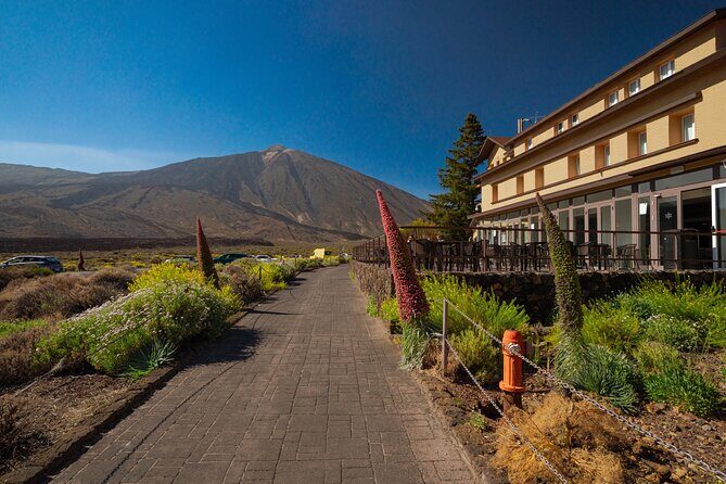 Tenerife Wonder Walk - Value and Suitability