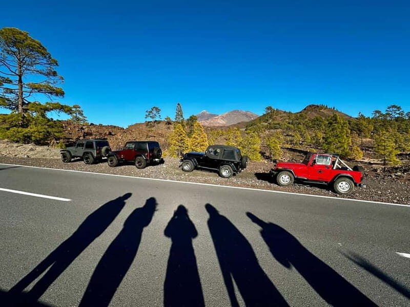 Tenerife: Wrangler jeep tour in the volcano teide at sunset - Who Should Consider This Tour?
