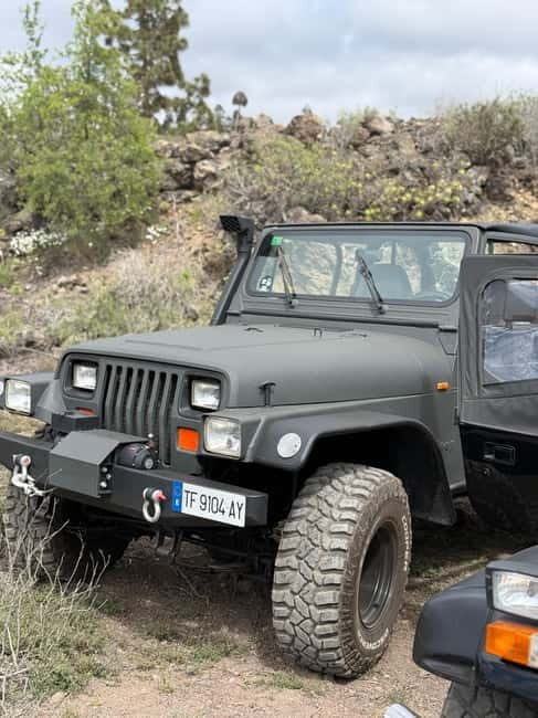 Tenerife: Wrangler Jeep tour to visit Los Gigantes and the south coast - Key Points