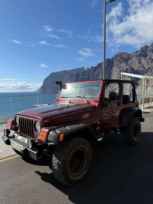 Tenerife: Wrangler Jeep tour to visit Los Gigantes and the south coast - The Highlights: Los Gigantes and the South Coast