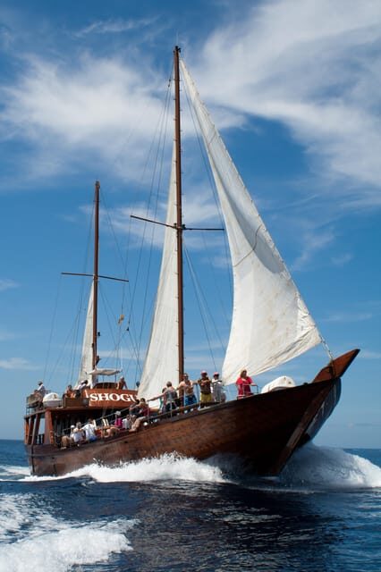 Tenerife:Respectful Whale Watching, Pirate Ship, & Swim - Detailed Breakdown of the Experience