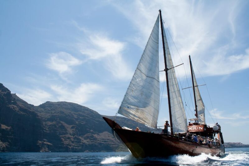 Tenerife:Respectful Whale Watching, Pirate Ship, & Swim - Why You Should Consider This Tour