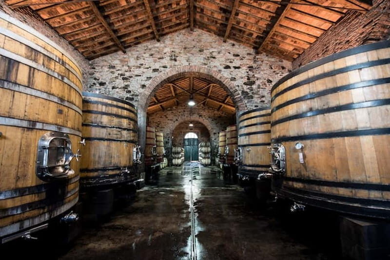 Tenimenti d'Alessandro - Visit the winery and wine tasting - The Setting: Views, Vines, and Verve