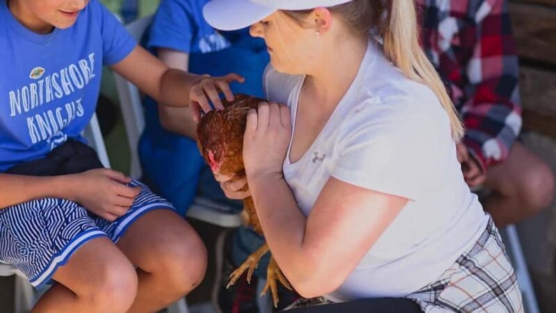 Tennessee: Cedar Pond Farms Feathers & Friends Experience - An In-Depth Look at Cedar Pond Farms Feathers & Friends Experience