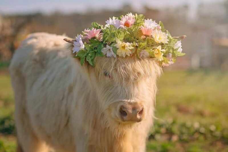 Tennessee: Cedar Pond Farms Floral Jewelry Workshop - Value and Practical Considerations